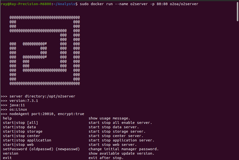 docker_run.png